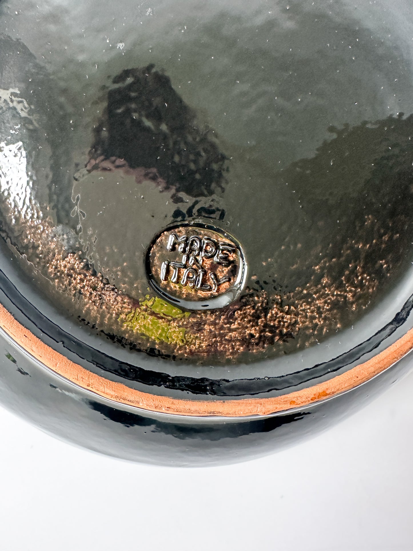 Vintage Lion Terracotta Bowl Made in Italy #3