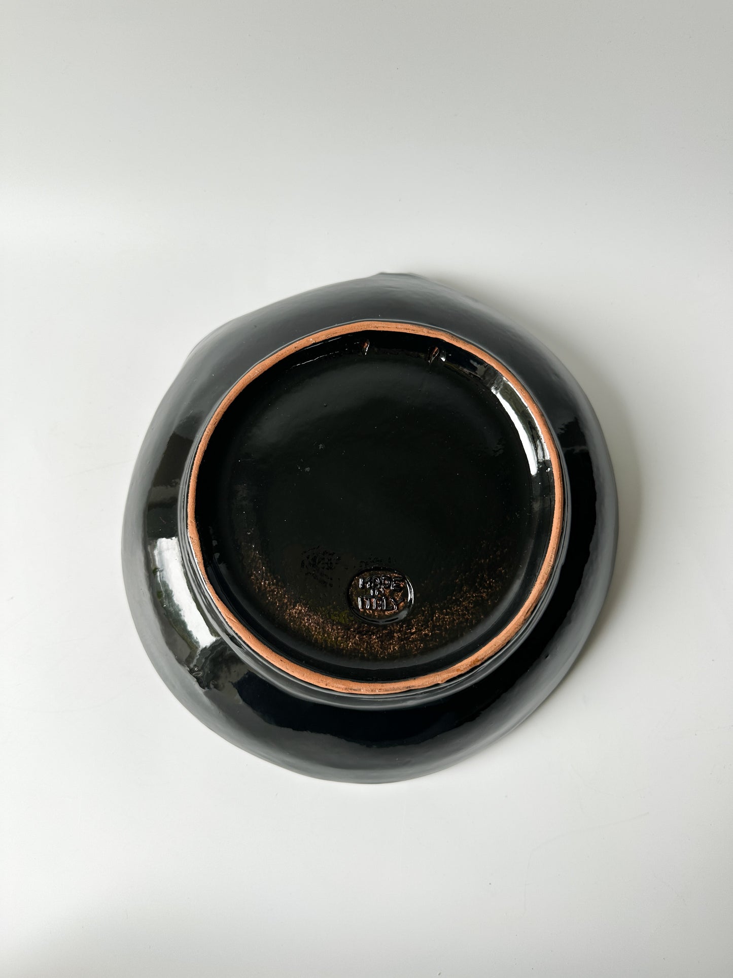 Vintage Lion Terracotta Bowl Made in Italy #3